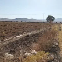 اجاره زمین|اجارهٔ دفتر صنعتی، کشاورزی، تجاری|سامن, |دیوار