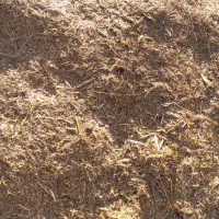 کاه گندم|عمده‌فروشی|قیدار, |دیوار