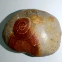 شهاب سنگ و سنگهای جواهری و کربنادو( مزایده ای)