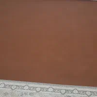 موکت درحدنو|موکت|نقده, |دیوار