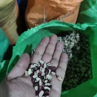 لوبیا شکسته اقتصادی مصرف انسانی