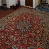 قالی زمینه لاکی سالم