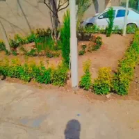 خدمات کلیه باغبانی باغچه کاری هرسکاری گلکاری کاشت|خدمات باغبانی و درختکاری|کرج, عظیمیه|دیوار