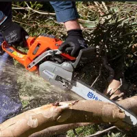 هرس انواع دخت و قطع انجام می دهیم