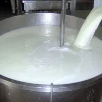 پخش شیر خام باکیفیت