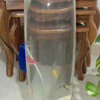 شیشه اکواریوم