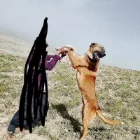 واگذاری