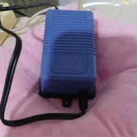 آکواریوم|ماهی|کرمانشاه, |دیوار