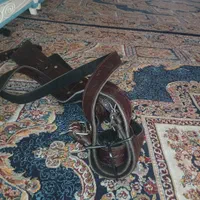 کمربند علم