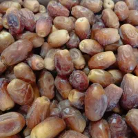 سلام خرمای زاهدی درجه یک