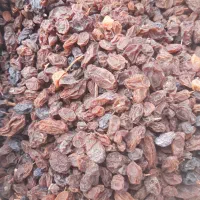 کشمش|خوردنی و آشامیدنی|کرمانشاه, |دیوار