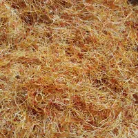 ریشه زعفران