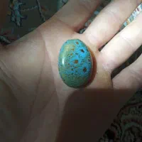 سنگ گردنی