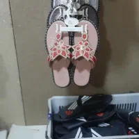 تعدادی دمپایی