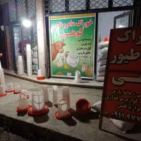 کارگر ثابت برای دم مغازه اول توضیحات بخونین|استخدام بازاریابی و فروش|کلاله, |دیوار