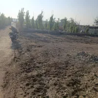 زمین جهت سرمایه گذاری