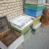 فروش کندوی زنبور عسل