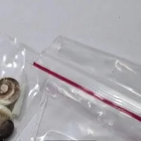 مهره اصل