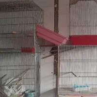 قفس پرنده جوجه پرون جفت کن و لوازم زیاده