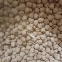 نخود دیم تازه