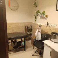 استخدام همکار خانم درسالن باحقوق