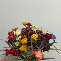 ۱۹شاخه گل رنگی ۳۰۰هزارتومان