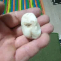 سنگهای طبیعی فروشی|کلکسیون اشیاء عتیقه|چگنی, |دیوار