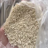 برنج نیم دانه هاشمی|خوردنی و آشامیدنی|رشت, آزادگان|دیوار