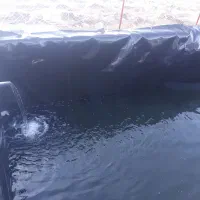 ساخت استخر|مصالح و تجهیزات ساختمان|بیرجند, |دیوار