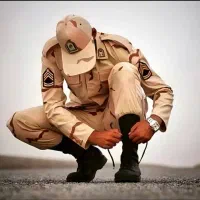 انتقالی و جابجایی سرباز