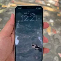 ایفون ۱۲|موبایل|چالوس, |دیوار