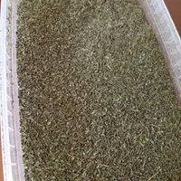 نعناع امسال