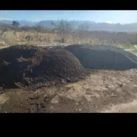 کود گوسفندی دامی