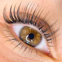 لیفت لمینت ابرو کاشت تمامی مدل هایه مژه