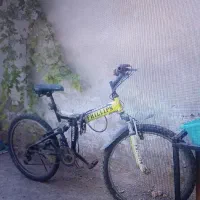 دوچرخه تا شو فسفری ۲۶