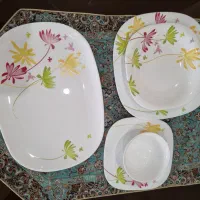 سرویس ارکوپال لومینارک