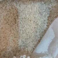 خورده برنج علی کاظمی طارم