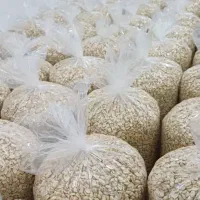 بادام زمینی هندی، کره گیری،|خوردنی و آشامیدنی|اصفهان, قلعه طبره|دیوار