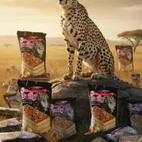 انواع کیک برای مجالس به قیمت عمده