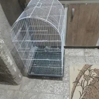 قفس سالم بزرگ