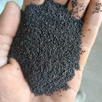 فروش دانه خرفه تمیز لیزر شده مرغوب