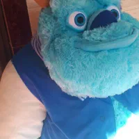 عروسک سالیوان|اسباب‌‌بازی|لشت نشا, |دیوار