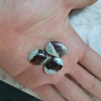 انگشتر و پک نگین شجر بهاره کلکسیونی|جواهرات|مشهد, طلاب|دیوار