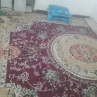 ۴عددفرش دوازده متری|فرش|دهدشت, |دیوار