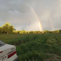 گردش و طبیعت گردی