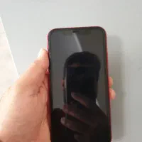 آیفون xr|موبایل|تهران, درختی|دیوار