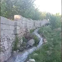 فروش-زمین-باغی