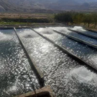 فروش پرورش ماهی|فروش دفتر صنعتی، کشاورزی، تجاری|ماهنشان, |دیوار