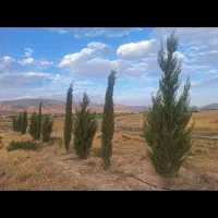 ۵هکتار زمین با دو حلقه چاه عمیق ۱۵۰ متری سپیدان