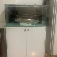 فروش اکواریوم و میز|ماهی|همدان, |دیوار